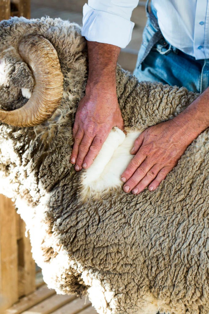 Man hanging a custom wool suit on a wooden hanger for proper storage